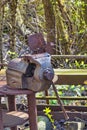 Old and rusty vice on the site of a former freight yard.