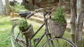 Old Rusty Vintage Bicycle And Flowers In A Wicker Basket