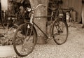 Old rusty vintage bike near big tree trunk. Rural areas Royalty Free Stock Photo