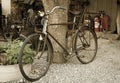 Old rusty vintage bike near big tree trunk. Rural areas Royalty Free Stock Photo