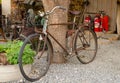 Old rusty vintage bike near big tree trunk. Rural areas Royalty Free Stock Photo
