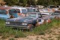 Old rusty vintage classic cars parked in a junkyard Royalty Free Stock Photo