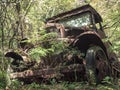 Old Rusty Vintage Truck Abandoned in the Forest Royalty Free Stock Photo