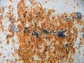 Old rusty wall. Corrosion surface in detail. Metal texture background