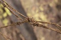 the old rusty wasting barb-wired on the concrete pole Royalty Free Stock Photo