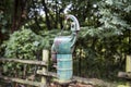 Old rusty water pump in the forest Royalty Free Stock Photo