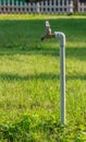 Old rusty water taps in Blurred Background Royalty Free Stock Photo