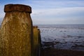 Old rusty wave breaker pillars in line Royalty Free Stock Photo