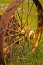 Old Rusty Wheel