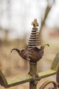 Old, rusty wrought iron fence Royalty Free Stock Photo