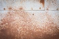 Old rusty zinc sheet Royalty Free Stock Photo