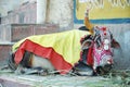 Old sacred indian cow with decorations