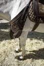 Old Saddle Royalty Free Stock Photo