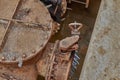 An old saddle valve, ready for connection, connects the water supply in a concrete bunker on a construction site.