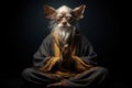 Old sage chihuahua dog in monk attire in meditation pose. Black background. Doggy guru meditates, achieving nirvana Royalty Free Stock Photo