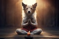 Old sage dog in monk attire in meditation pose in temple. A doggy guru meditates, achieving nirvana. Suitable for Royalty Free Stock Photo