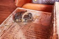 Old sailboat desk with an astrolabe Royalty Free Stock Photo