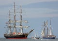 Old sailing ships at Hansesail 2014 01 Royalty Free Stock Photo