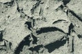 Old sandy surface. Cracks in dry sand Royalty Free Stock Photo