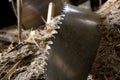Old saw blade and sawdust Royalty Free Stock Photo