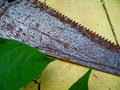 Old saw blade on table Royalty Free Stock Photo