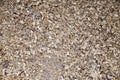 Sawdust wooden filling seamless background