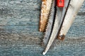 Old saws Royalty Free Stock Photo