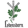 Old Scandinavian rune Algiz and Oak branch with leaves and acorns. Inscription in German Lebensborn - Rune of Life