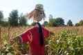 Old scarecrow in a cornfield, made form straw and old clothing Royalty Free Stock Photo