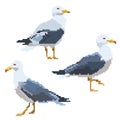 Old school 8 bit pixel art seagull standing on the ground.Sea bird icon isolated on white background Royalty Free Stock Photo