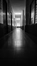 Old school hallway in black and white. Black and white mobile Wallpapers. Royalty Free Stock Photo