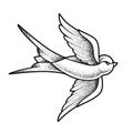 Old School Tattoo Swallow Bird