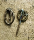 Old scissors for sheep shearing and horseshoes