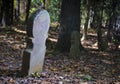 Old North Carolina graveyard Royalty Free Stock Photo