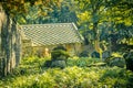 Old Scottish graveyard Royalty Free Stock Photo