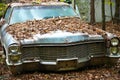 Old Scrap Car Royalty Free Stock Photo