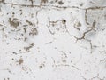 Old and scratched wall. Royalty Free Stock Photo