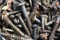 Old screws in oil grease Royalty Free Stock Photo