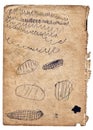 Old scribbled isolated book cover texture