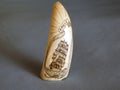 Old scrimshaw found on Bequia Royalty Free Stock Photo