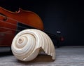 Old sea shell and violin music instrument Royalty Free Stock Photo