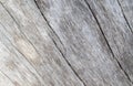 Old sea wood texture with curves photo. Weathered timber board with crack lines. Royalty Free Stock Photo