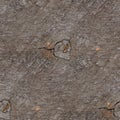 Old seamless background wood cracks texture Royalty Free Stock Photo