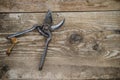 An old secateur tool/scissor for use with plants use for decorate the garden put on wood texture background.Secateur make from met Royalty Free Stock Photo