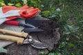 Old secateurs and other gardening tools on wooden stump among green grass, closeup