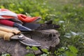 Old secateurs and other gardening tools on wooden stump among green grass, closeup