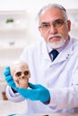 Old senior anthropologist working in the lab Royalty Free Stock Photo