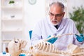 Old senior anthropologist working in the lab Royalty Free Stock Photo