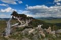 Old Sentinel, Mt Evans Road, Colorado, USA