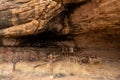 The Old Settlement At Cave Spring In The Needles District Royalty Free Stock Photo